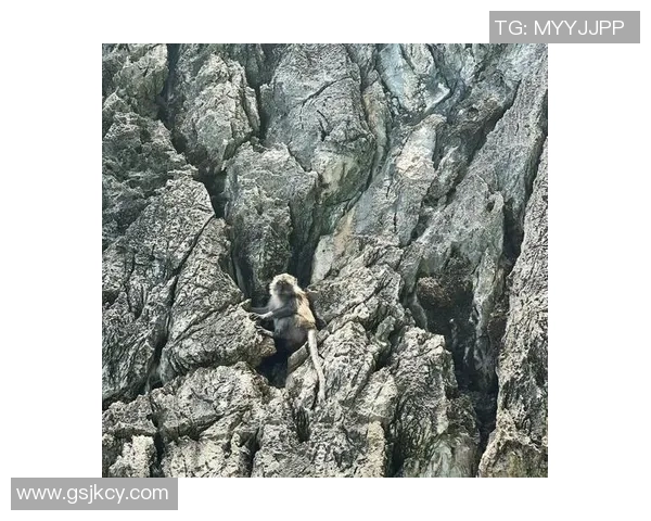 从零开始的攀岩之路：全面提升实力的实用指南与技巧分享